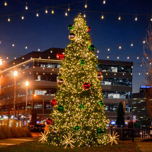 Christmas Light Installation