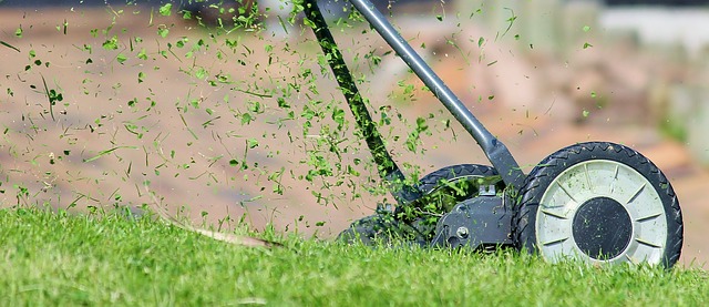 lawn mowing is cutting through grass