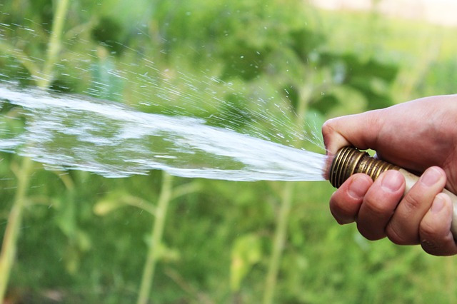 watering the grand junction lawn