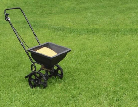 How to maintain your lawn by feeding it regularly