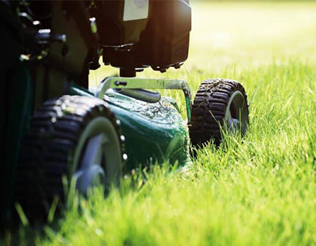 How to maintain your lawn by mowing it at the right height