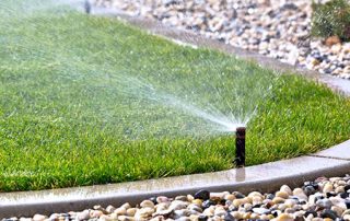 Sprinklers watering a lawn